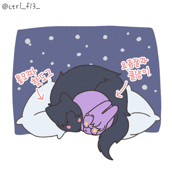 KakaoTalk_20230824_214917395.png